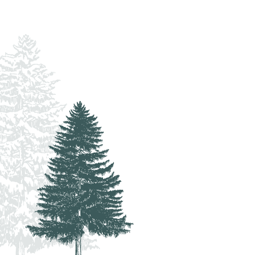 dark-trees-cropped-left Christmas Tree